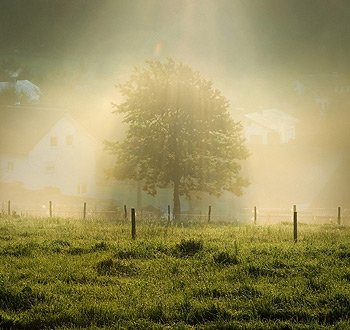 无限拨打电话软件
